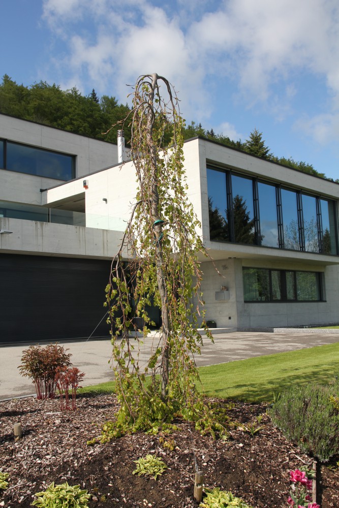Villa-a-tramelan-51-1005-2